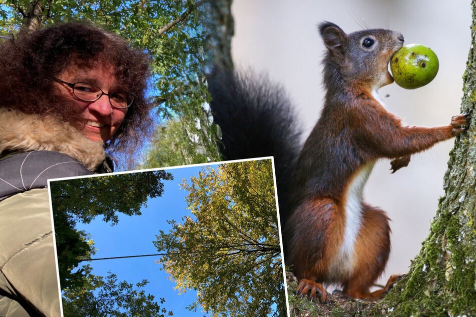 Zu viele überfahrene Eichhörnchen: Anwohnerin hat diese tolle Idee!