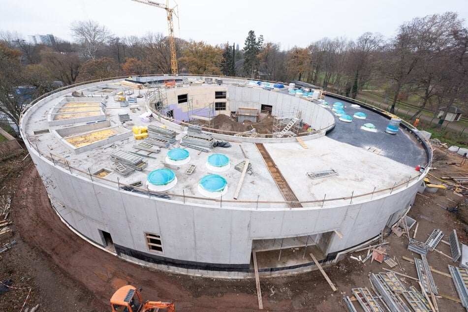 Das Orang-Utan-Haus wurde im vergangenen Jahr fertig. Bald soll eine Solaranlage auf dem Dach installiert werden.