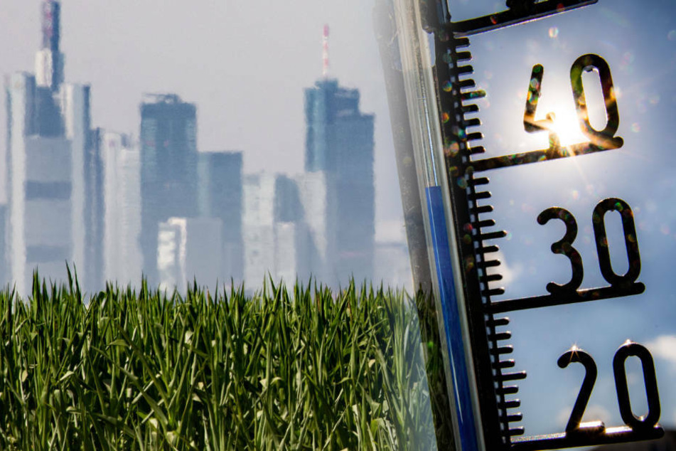 Um 13 Uhr sind in Frankfurt bei anhaltender Hitze die Ozonwerte über die Informations-Schwelle gestiegen (Archivbild).