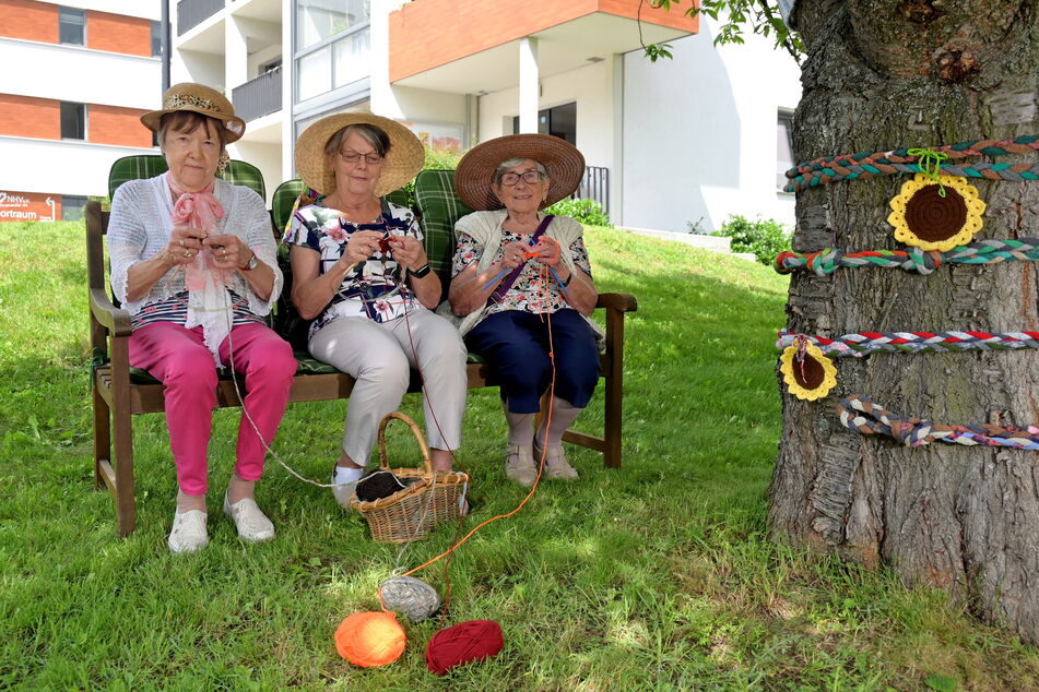 Christine Kronmüller (78, v.l.), Marlies Federow (79) und Inge Baum (88) stricken für die Bäume an der Höhenpromenade bunte Kleider.