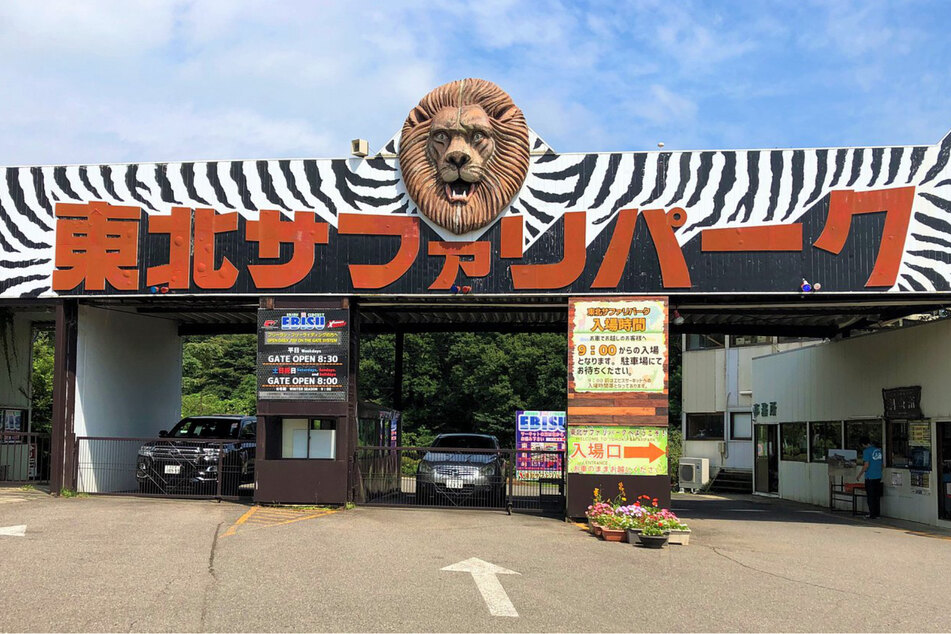 Nach dem tragischen Vorfall bleibt der Safari-Park erst einmal geschlossen.