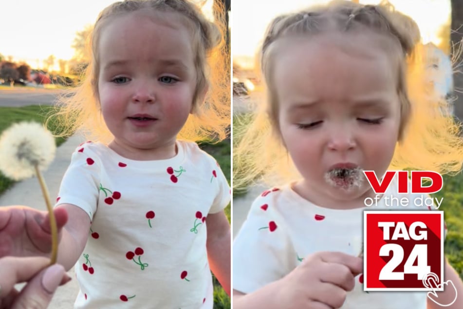 This little girl froze in shock when she ate a dandelion her mom handed her.