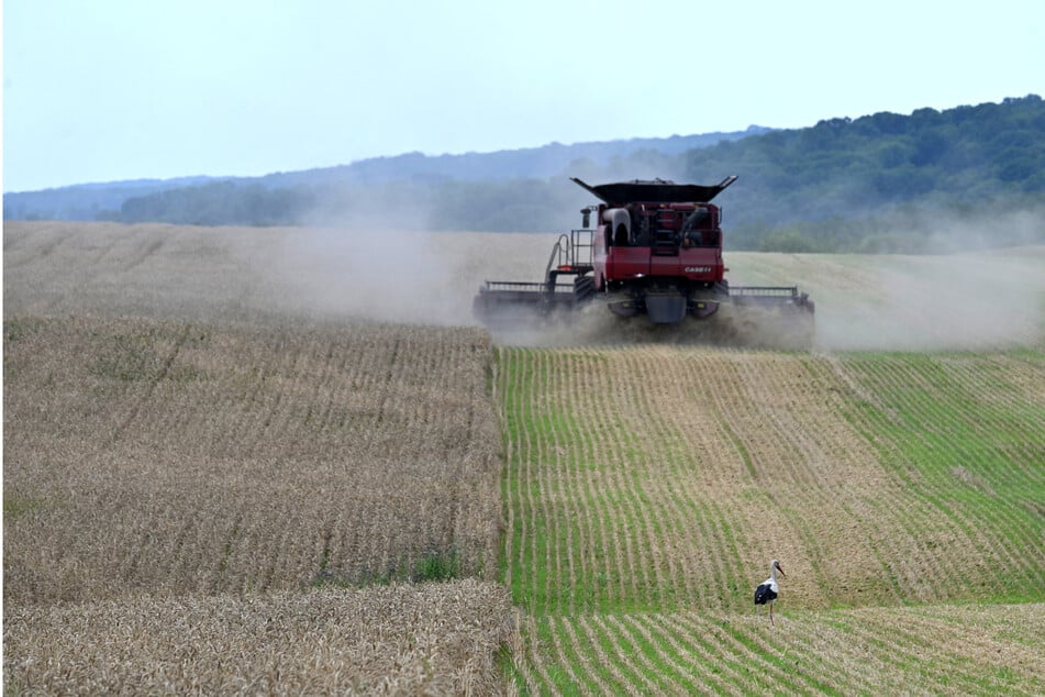 Lange war gerungen worden: Nun erlaubt die EU die Einfuhr von ukrainischem Getreide.