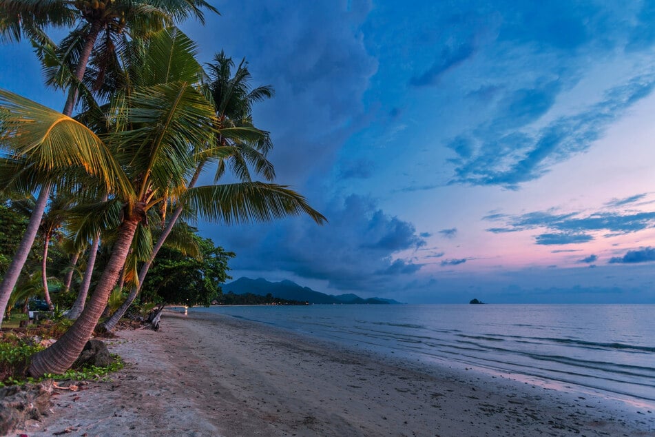 Die Leiche wurde an einem Strand auf der Insel Kho Phangan angeschwemmt. (Symbolbild)
