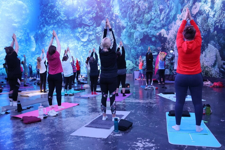 Am Beginn der Session schwingen sich die Teilnehmerinnen im Wellentakt ein.