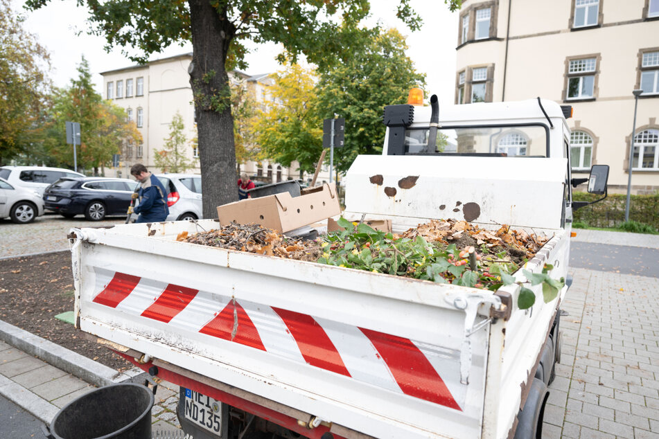 Als Gärtner (m/w/d) bei Nehlsen kommt Dein grüner Daumen nicht zu kurz.