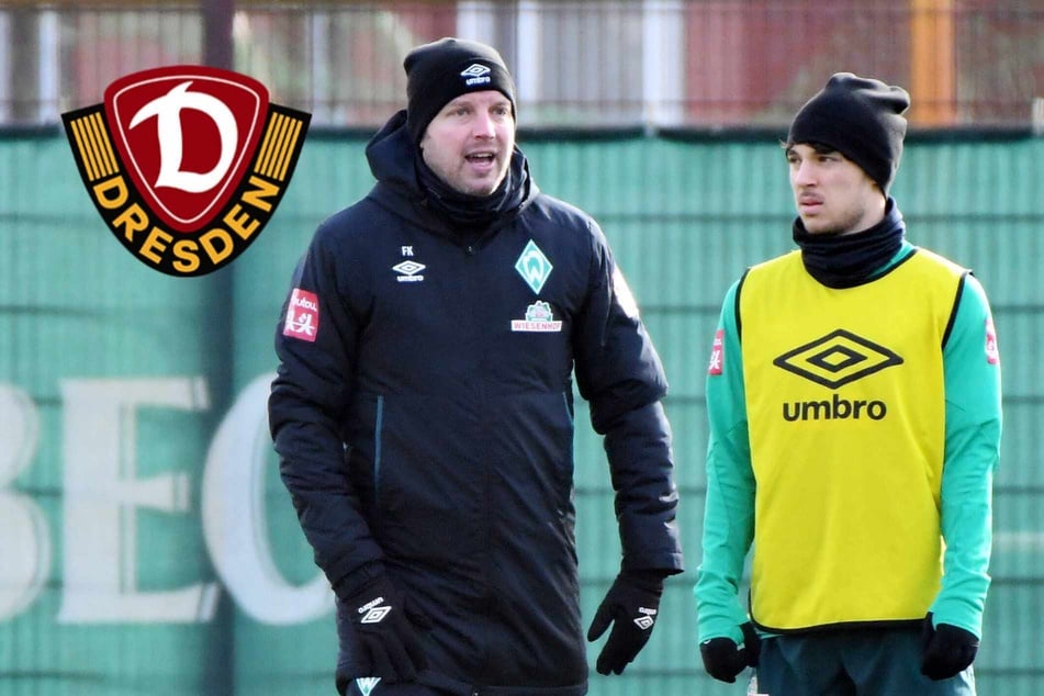 Dynamos Straudi trifft auf "akribischen" Ex-Coach Kohfeldt: "Klar kennt er mich noch"