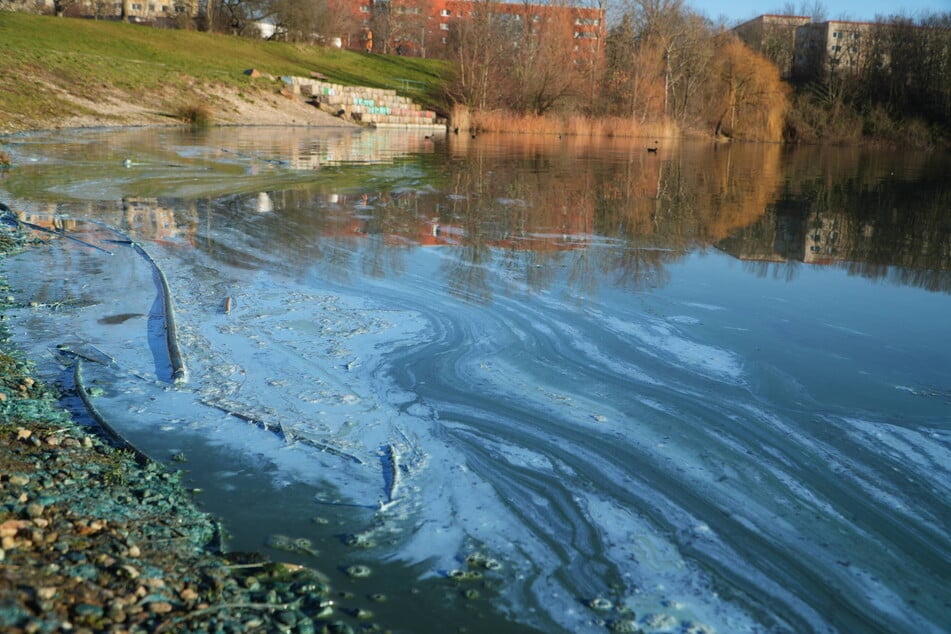 Am Samstagvormittag hatten sich im Theklaer Bagger blaue Schlieren gebildet.