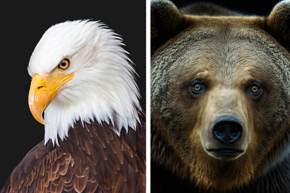 Männer lassen sich laut einem neuen Trend vom Aussehen her vier Tiergruppen zuordnen, darunter auch Adlerartigen (links) oder Bären (rechts). (Symbolbild)