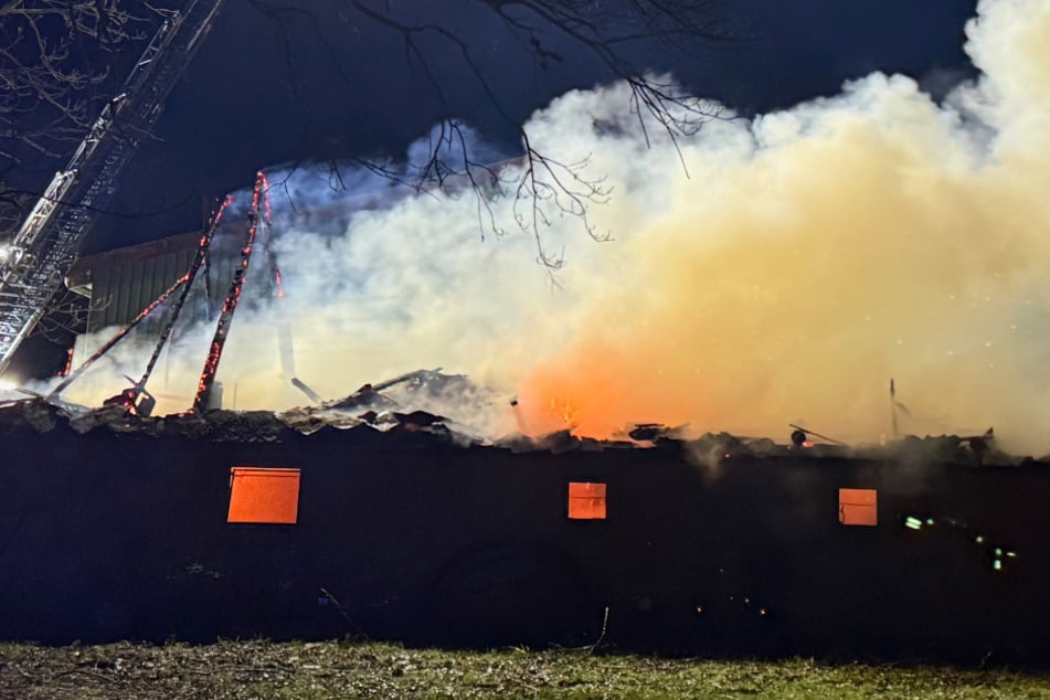 Flammen-Inferno bei Hamburg! Großbrand auf Bauernhof