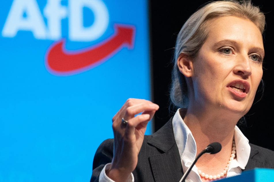 AfD-Weidel fordert: Politiker sollen auf "Querdenker" zugehen