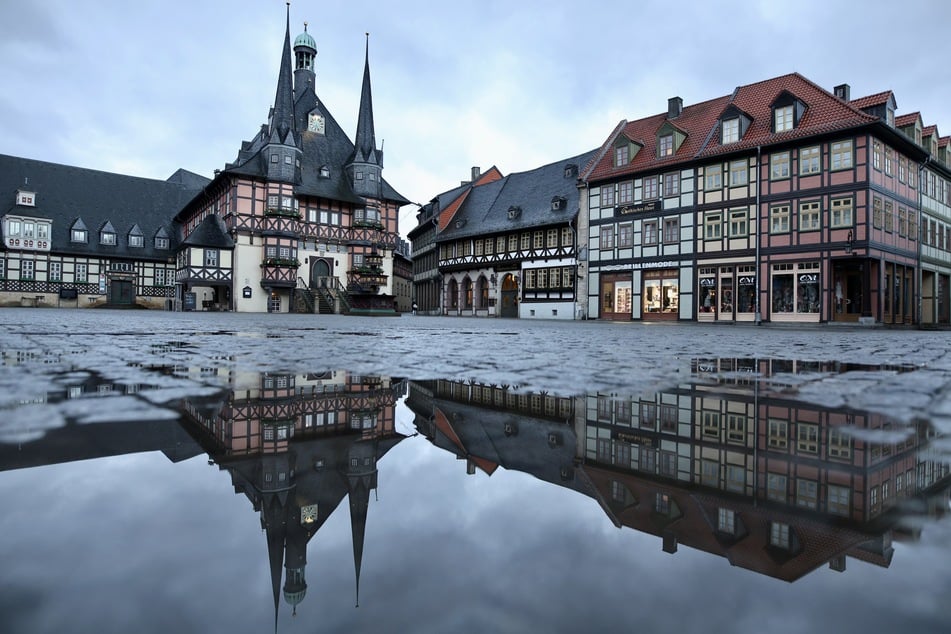 Der Stadtrat Wernigerode will nun entscheiden, ob der Eintrag gestrichen werden soll.