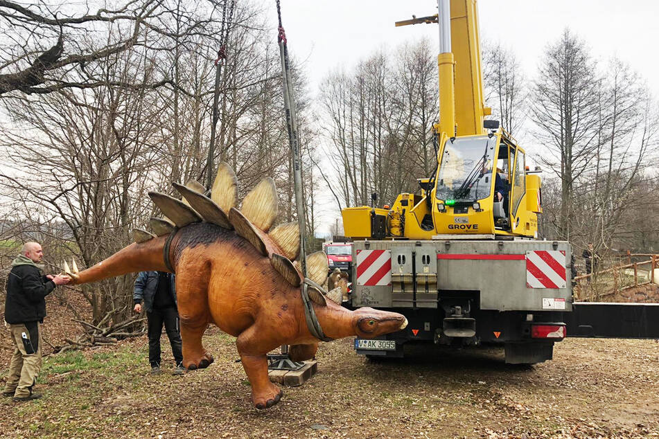 Ein neuer Dino erreicht den Freizeitpark Plohn.