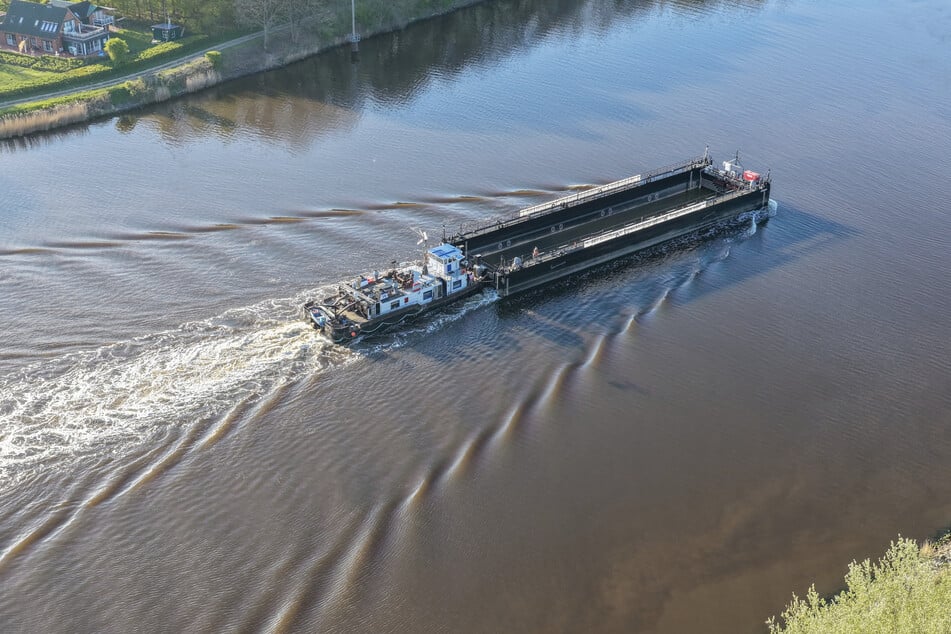 Der Buckelwal konnte sicher in die Barge geladen werden.
