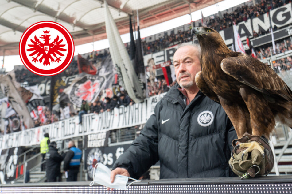 Tierschützer stellen Forderung: Wird SGE-Adler Attila aus dem Stadion verbannt?