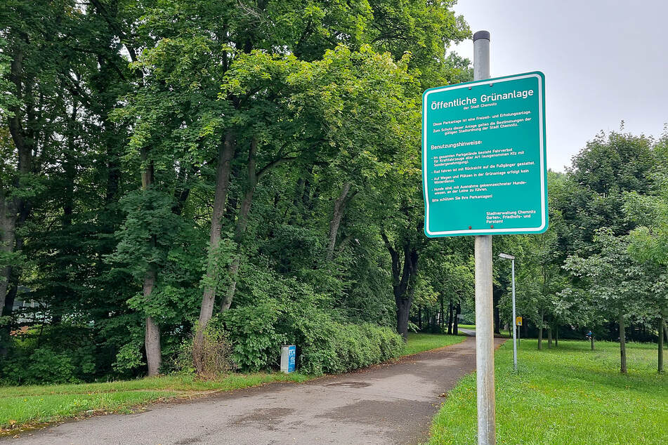 Im Chemnitzer Stadtpark soll die Macheten-Attacke stattgefunden haben.