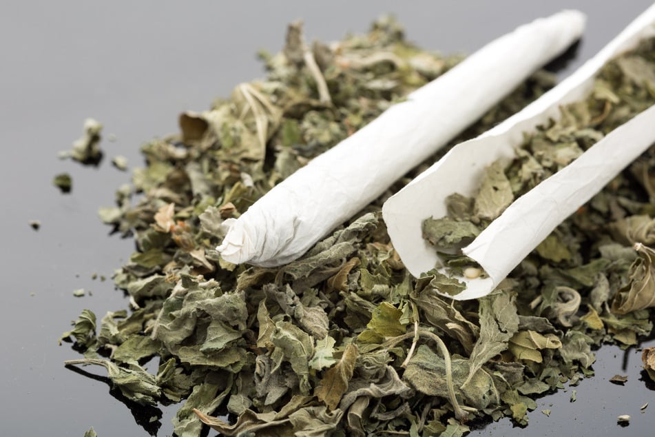 Die Bundespolizei entdeckte das Päckchen in einem Zug im Chemnitzer Hauptbahnhof, darin waren etwa 145 Gramm Cannabis. (Symbolbild)