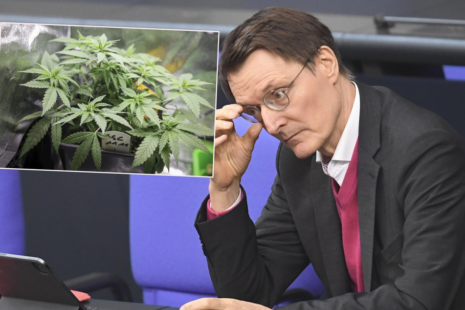 Bundestag stimmt für Freigabe von Cannabis in Deutschland