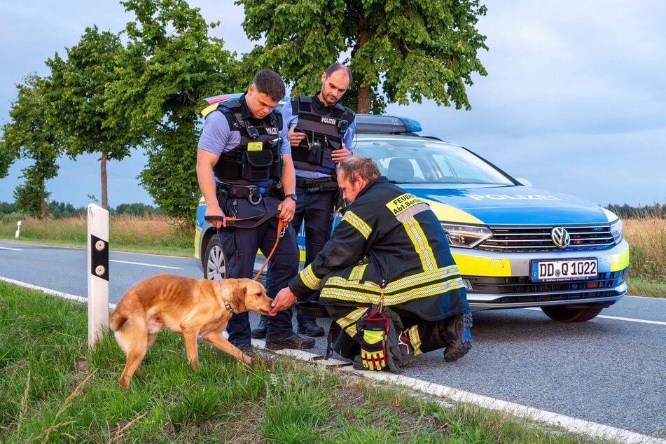 Die Einsatzkräfte mussten sich erstmal um den Hund kümmern.