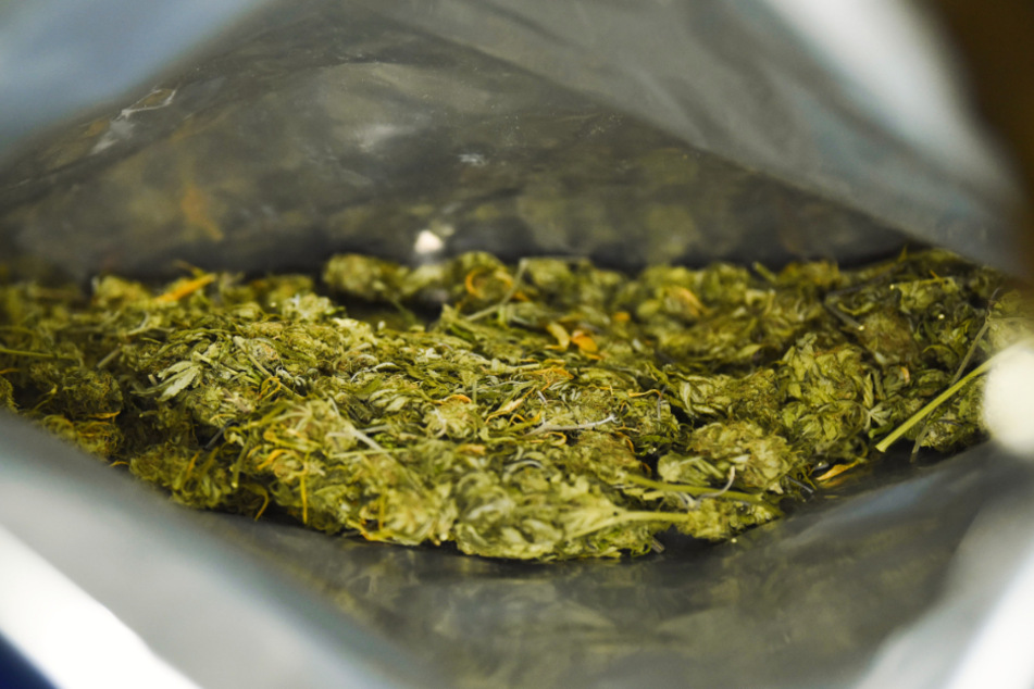 Schon von weitem war der Marihuana-Geruch wahrnehmbar. (Symbolbild)