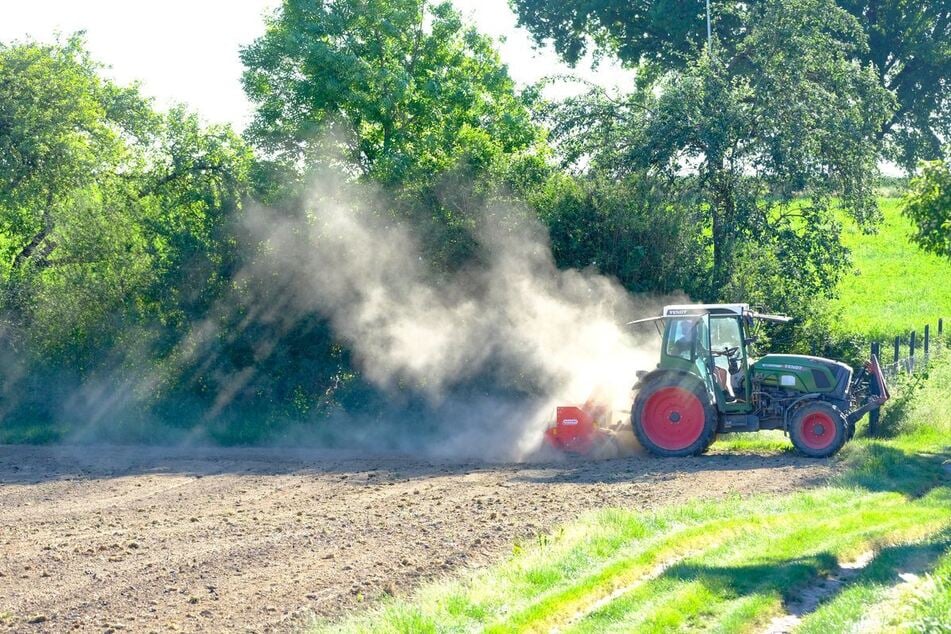 Auch Bauern im Südwesten bekommen die Trockenheit zu spüren.
