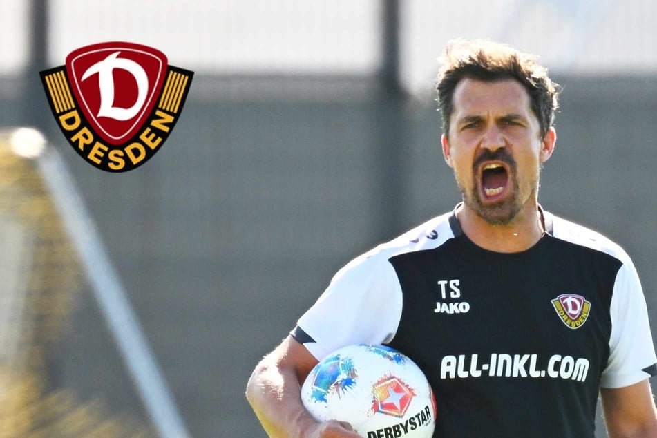 Auf den letzten Drücker: Holt Dynamo noch einen Neuzugang dazu?