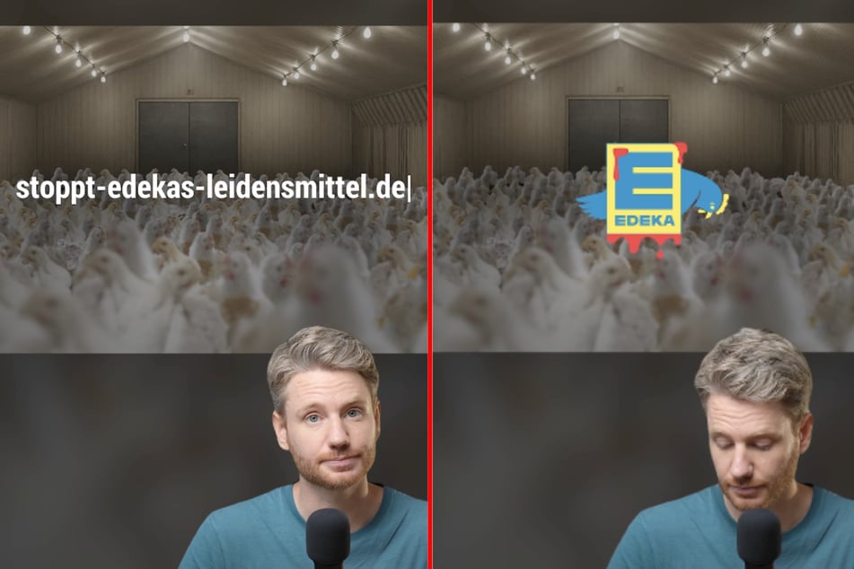 Die Stiftung will mit dem viralen Clip das Werbeversprechen des Lebensmitteleinzelhändlers hinterfragen.
