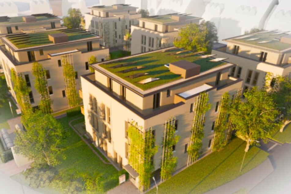 In Medingen entstehen sechs moderne Stadthäuser.