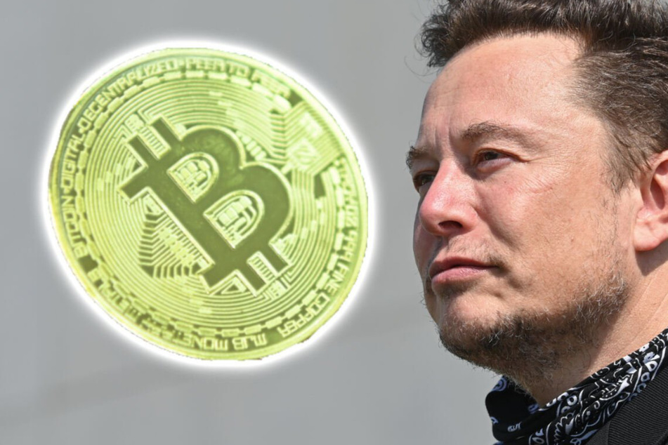 Elon Musk: Mutmaßlicher Bitcoin-Betrüger gab sich als Elon Musk aus: Facebook greift durch