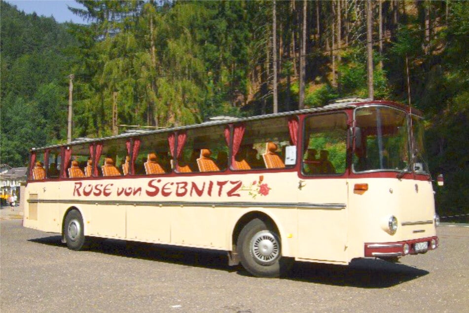 Nach fünf Jahren endlich wieder Teil des Festes: der Oldtimerbus "Rose von Sebnitz".