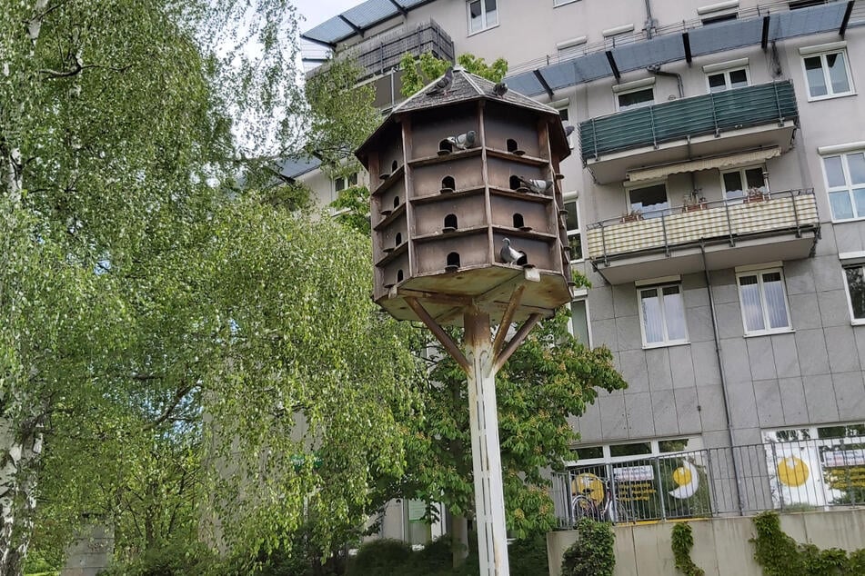 Das Taubenhaus stand 31 Jahre an der Fürstenstraße.