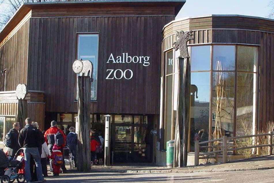 Am Zoo von Aalborg kann man die Aufregung nicht so recht verstehen. Man habe das schon immer so gemacht, sagte eine Sprecherin.