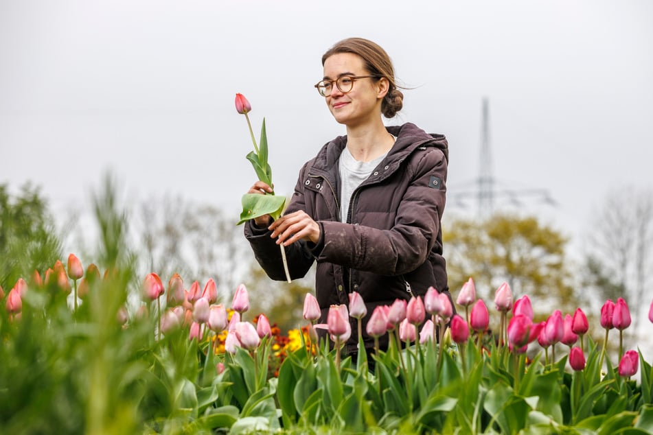 Bei Emma Auerbach kann man nicht nur Blumen selber pflücken, sondern auch an Workshops teilnehmen. Nächste Termine: 16.5. Straußbinden, 28.6. Yoga.
