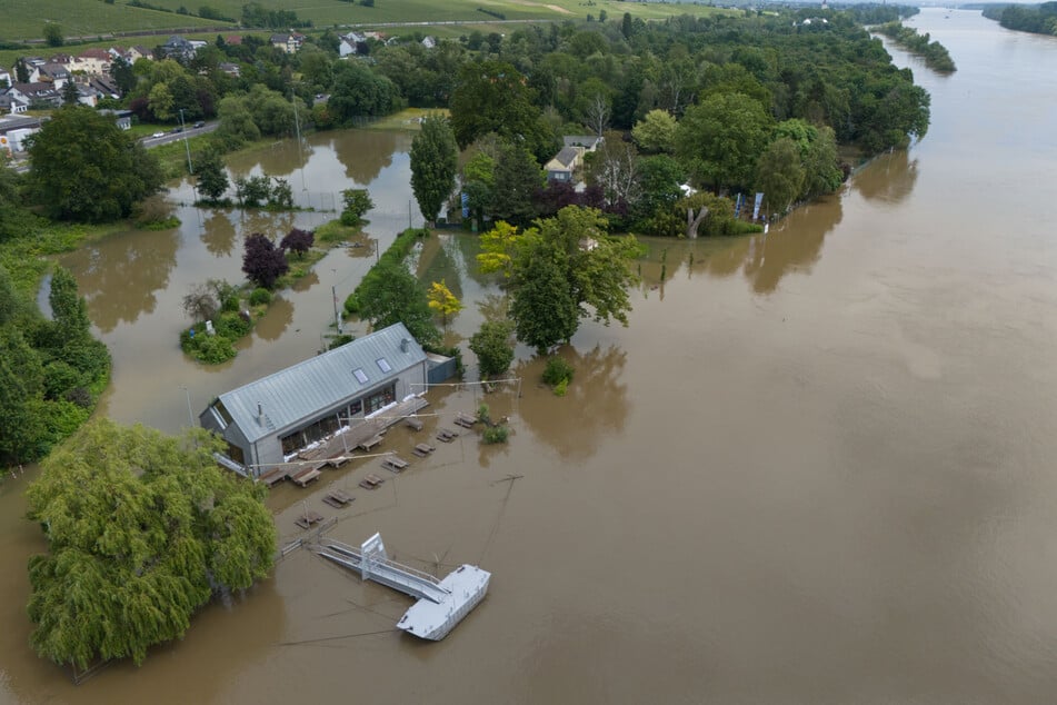 In Hattenheim (Reingau-Taunus-Kreis) hat das Hochwasser des Rheins bereits die Ufer überschwemmt.