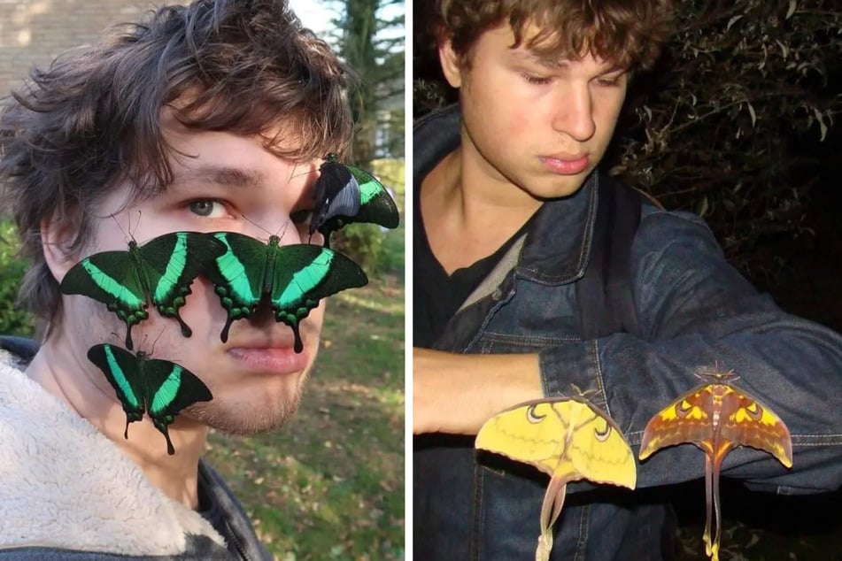 Der Insekten-Influencer Bart Coppens aus der Niederlande hat keinerlei Berührungsängste, wenn es um Krabbeltiere geht.