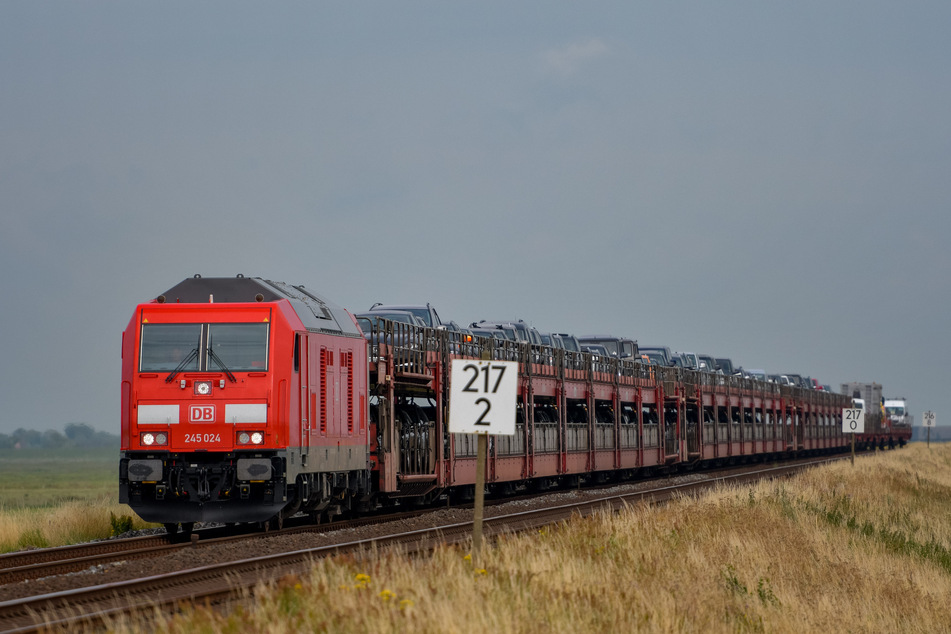 Der Sylt-Shuttle, mit dem von der Deutschen Bahn Autos vom Festland nach Westerland auf Sylt transportiert werden, fährt in der Nähe von Klanxbüll über den Hindenburgdamm. (Archivbild)