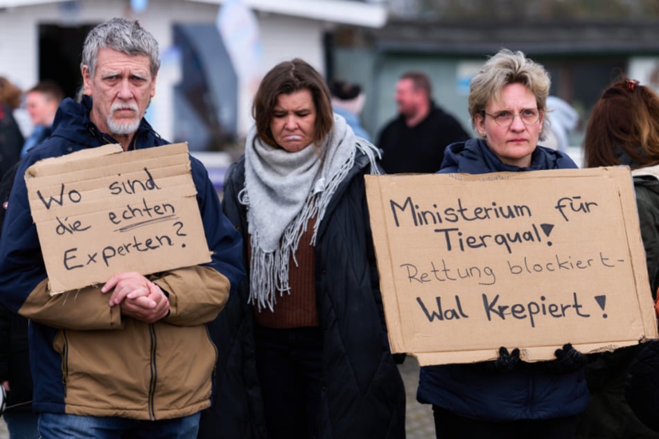 In Kirchdorf gingen am Sonntag erneut Menschen für den gestrandeten Wal auf die Straße.