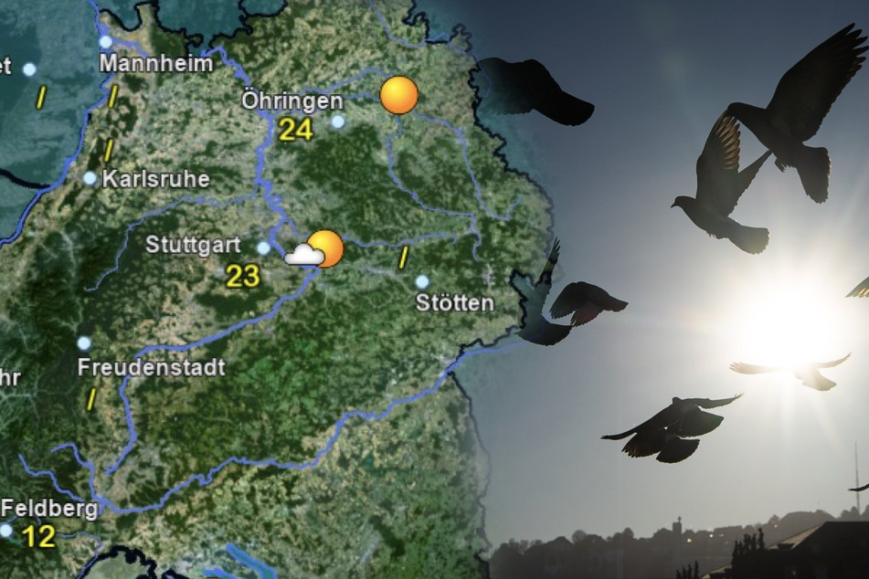 So wird das Wetter in Baden-Württemberg. (Fotomontage)