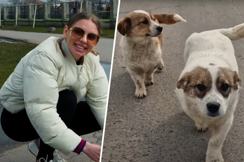 Love-Furry-Friend-Frontfrau Olena kann nur noch lächeln, als sie die Hunde kennenlernt.