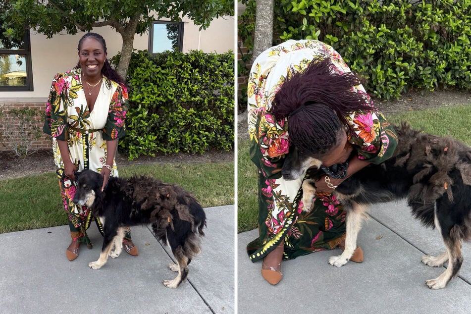 Überglücklich: Champs Besitzerin kann nicht glauben, ihren Hund endlich wieder zu haben.