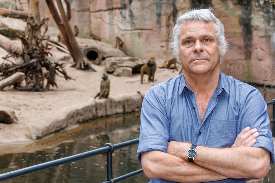Wurde zur Hass-Figur der Tierschützer und erhielt sogar Morddrohungen: Tiergartendirektor Dag Encke (60).