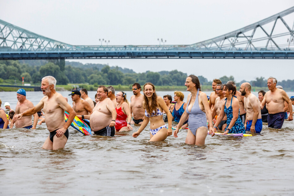 Massenstart: Unterhalb des Blauen Wunders steigen rund 950 Elbschwimmer in die Elbe.