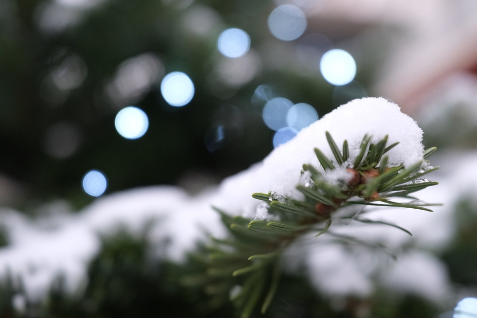 Traurige Nachricht: In Sachsen, Sachsen-Anhalt und Thüringen wird es dieses Jahr keine weiße Weihnacht geben.