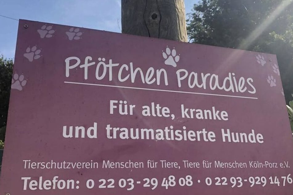 Pro ráj pro tlapky dává ředitelka Conny všechno.