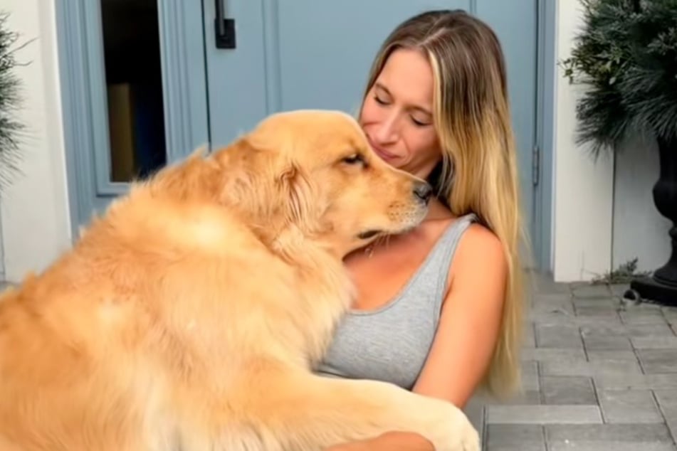Ein "Engelchen": Golden Retriever Maverick gilt in seiner Familie als sehr liebevoll und ruhig.
