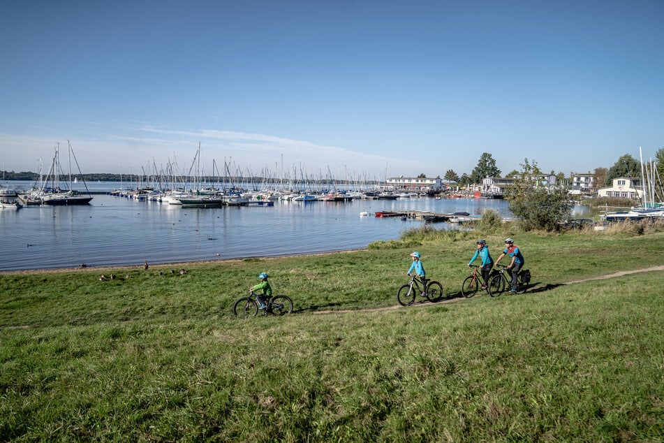 Auf der Neuseenland-Radroute kommt man auch an einigen Häfen vorbei.