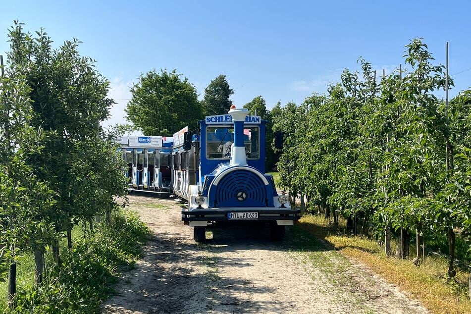 Mit dem Schlendrian könnt Ihr am Samstag in Dürrweitzschen über die Obstplantagen tuckern und mehr über den Anbau erfahren.
