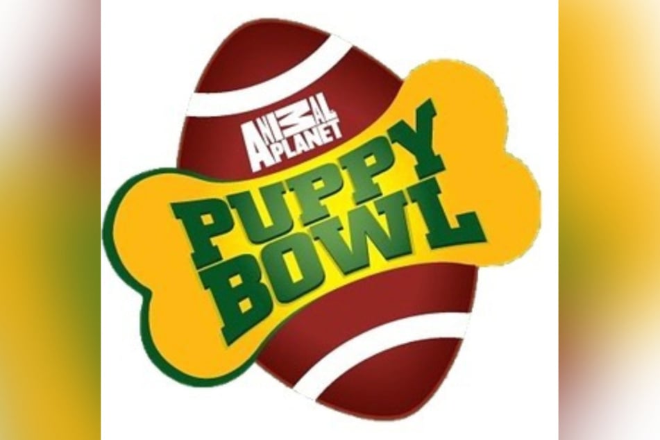 The Puppy Bowl is up its 17th edition this year.