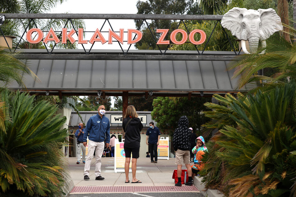 The Oakland Zoo was forced to close after a giant sinkhole opened up, caused by heavy rain and flooding in the region, damaging parts of the park.