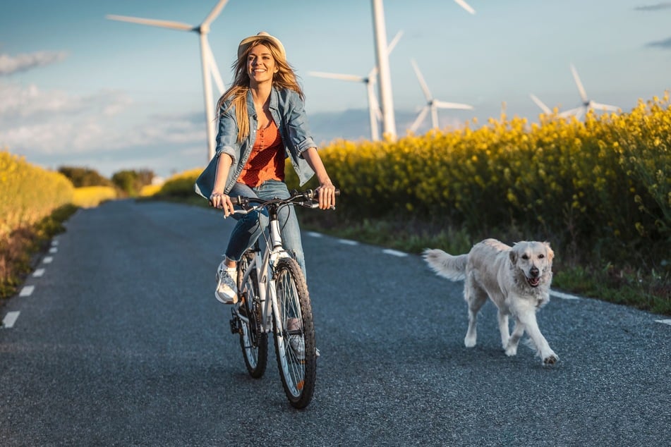 Von Fahrrad fahren bis hin zu Büroübungen bietet die App eine große Auswahl.